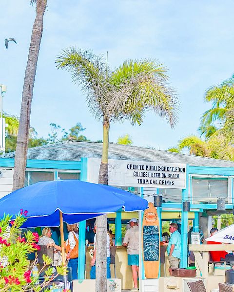 Tropical scene with a palm tree, blue bar, some people, and clear skies.