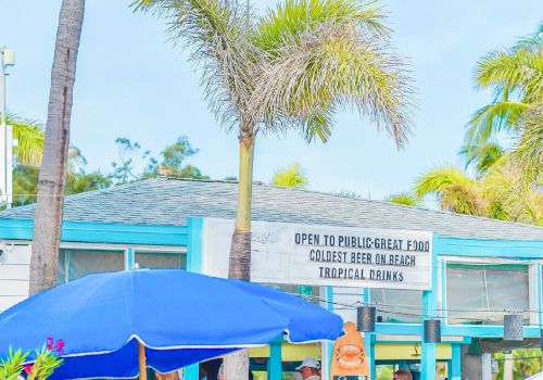 Tropical scene with a palm tree, blue bar, some people, and clear skies.