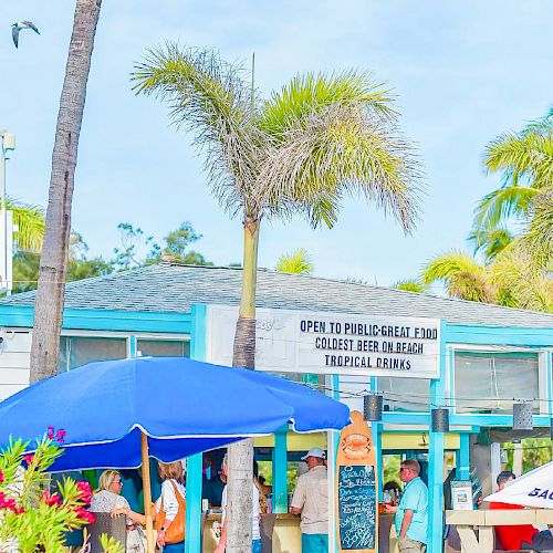 Tropical scene with a palm tree, blue bar, some people, and clear skies.