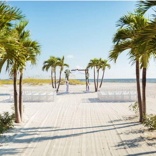 A beach wedding setup with white chairs, an aisle, and palm trees under a sunny sky.