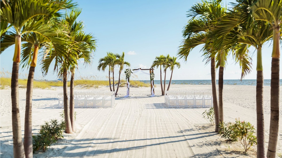 Beach wedding setup with palm trees, chairs, and an archway. The ocean in the background.