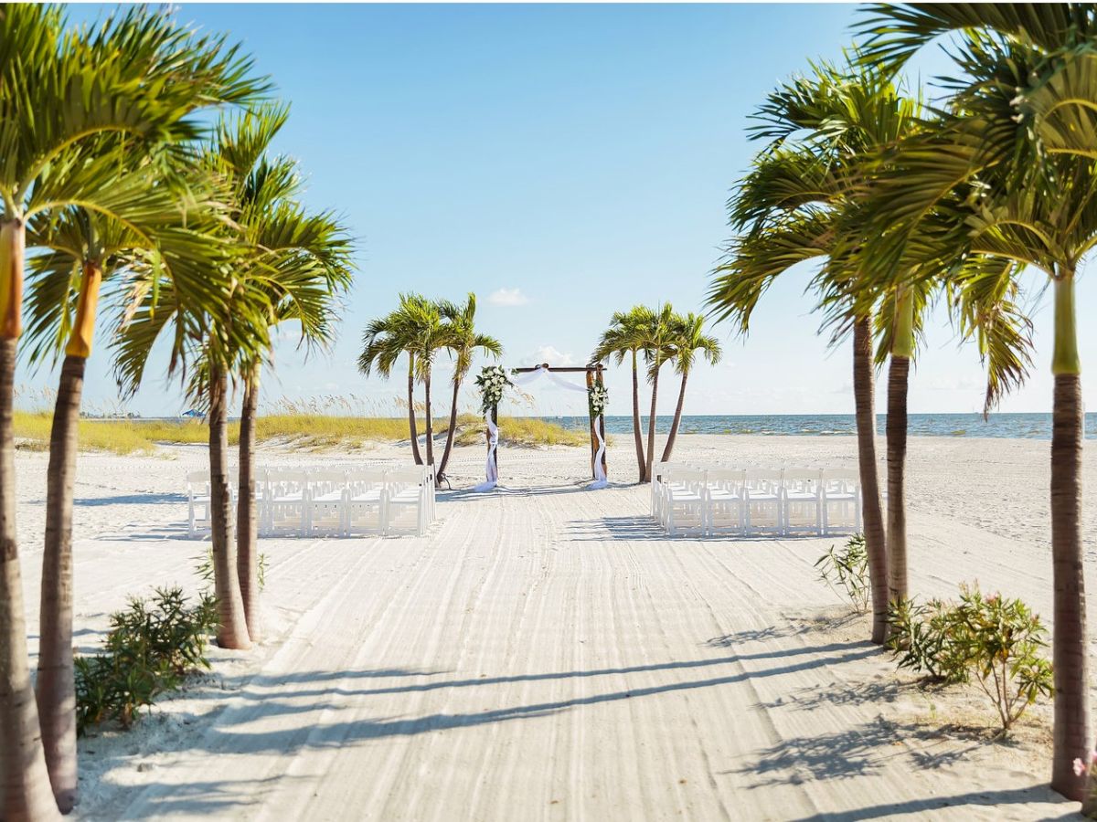 Beach wedding setup with palm trees, chairs, and an archway. The ocean in the background.