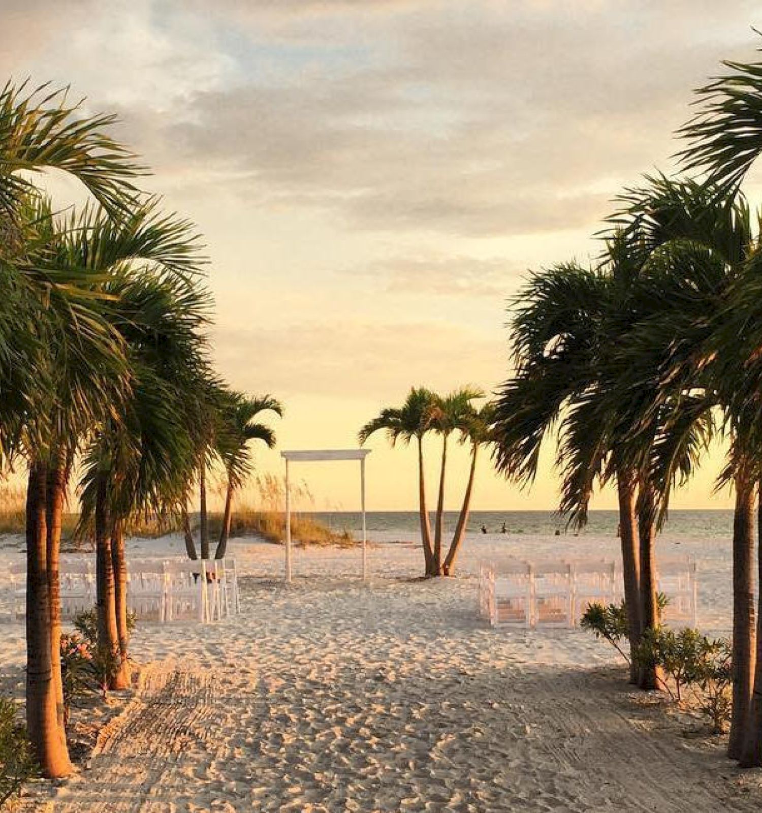 Palm trees line a sandy beach path leading to a sunset view.