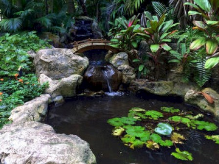 A serene pond with lily pads, surrounded by rocks and lush greenery, featuring a small wooden bridge.