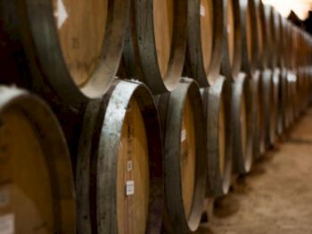 Rows of wooden wine barrels aging in a cellar.
