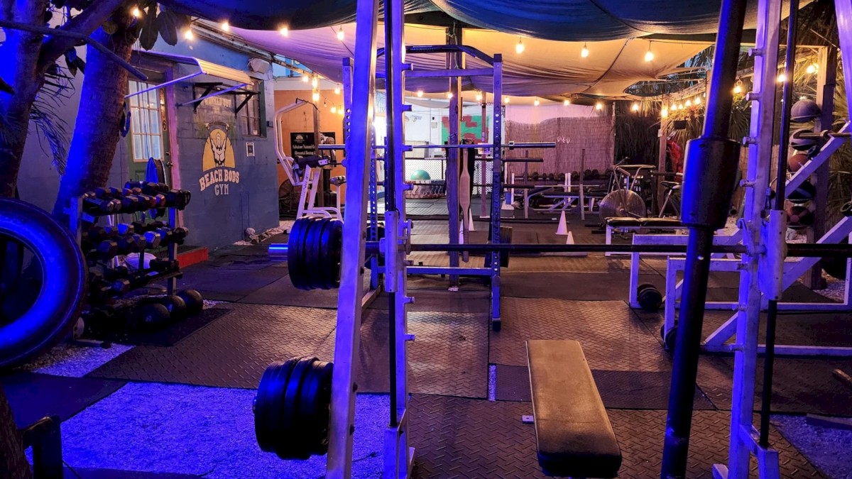 Outdoor gym with weights, bench, squat rack under blue tarp at twilight.