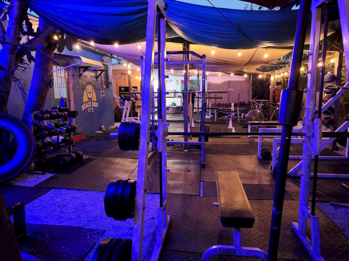 Outdoor gym with weights, bench, squat rack under blue tarp at twilight.