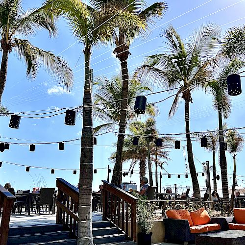 An outdoor seating area with palm trees, string lights, and lounge furniture. The setting is bright and sunny, with a beach visible in the background.