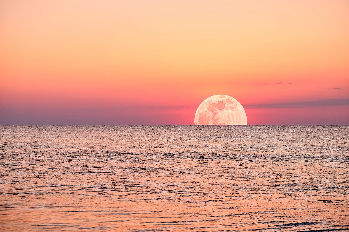 The image features a stunning view of the ocean with a full moon rising or setting, casting a beautiful golden and pink hue across the sky and water.