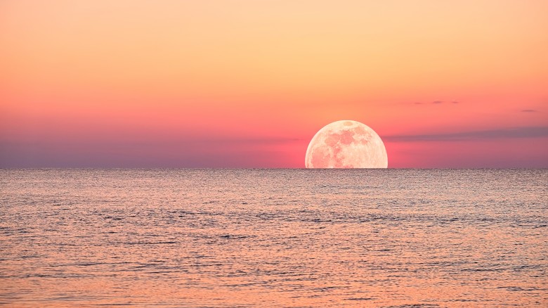 The image features a stunning view of the ocean with a full moon rising or setting, casting a beautiful golden and pink hue across the sky and water.