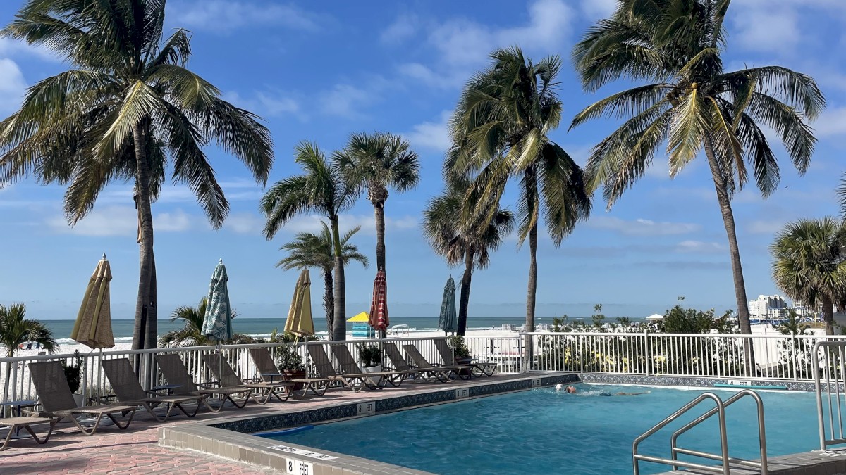 A swimming pool surrounded by lounge chairs and palm trees under a blue sky with some clouds, suggesting a tropical or beachside location.